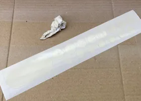 ワイヤータック右側 10
